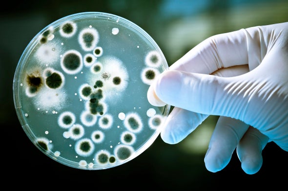 Microbes Share Your Morning Metro Commute