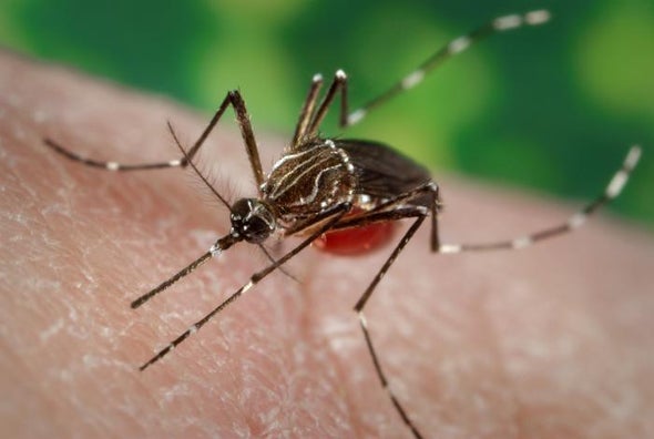 Zika Linked to Guillain–Barré Syndrome, Study Finds