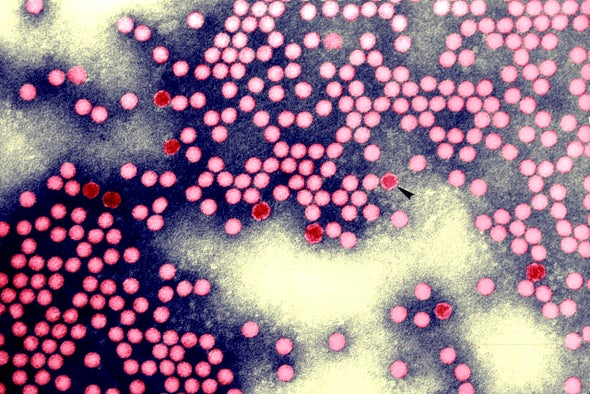Poliovirus Detected in London Sewage, U.K. Officials Warn