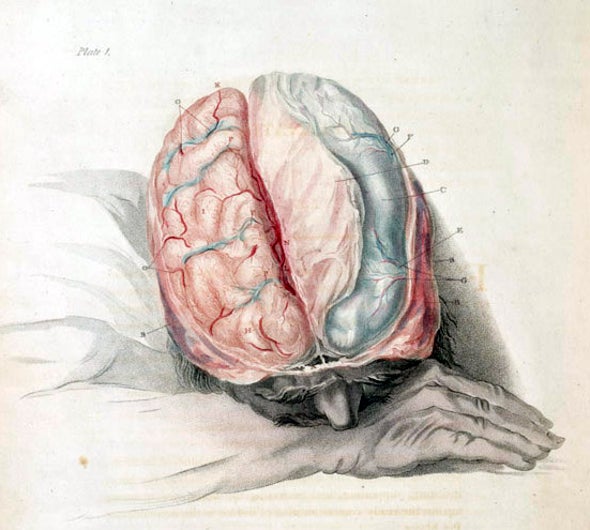 Teenagers Who Dont Get Enough Sleep At >> Teenagers Who Don T Get Enough Sleep At Higher Risk For Mental Teenagers Who Dont Get Enough Sleep At >> Teenagers Who Don T Get Enough Sleep At Higher Risk For Mental