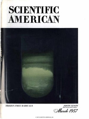 Scientific American Magazine Vol 196 Issue 3