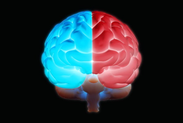 Conservative and Liberal Brains Might Have Real Differences - American
