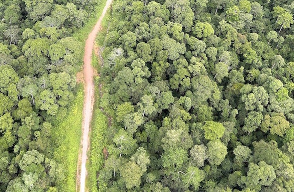 New African Highways Have a High Environmental Price