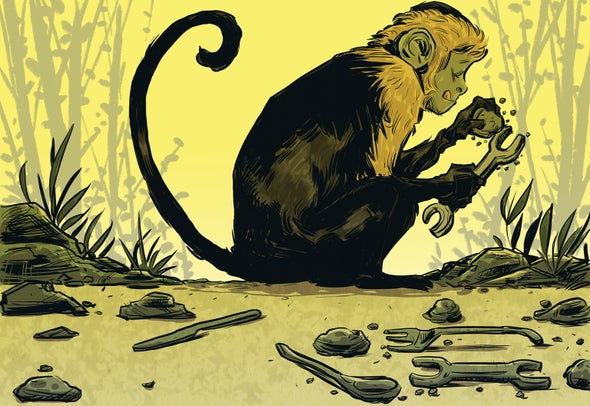 Monkeys Make Stone "Tools" That Bear a Striking Resemblance to Early Human Artifacts