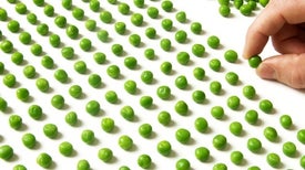 An Inner Look into the Minds and Brains of People with OCD
