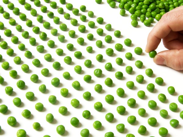 Hand sorting peas