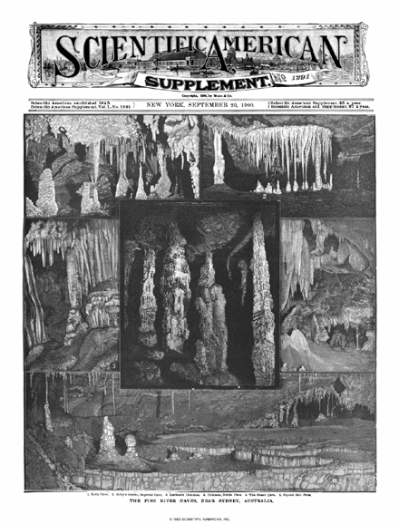 SA Supplements Vol 50 Issue 1291supp