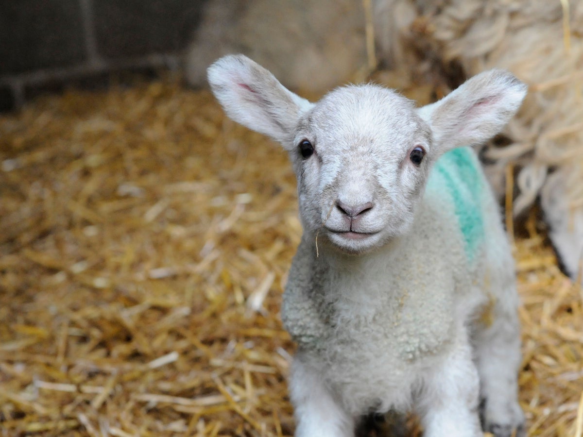 Ethics Lesson May Hold outside the Classroom