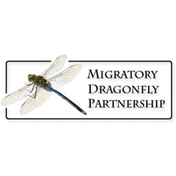 Migratory Dragonfly Partnership
