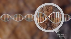 Resurrecting the Genes of Extinct Plants