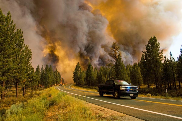 Cars speed along the road to flee a blazing forest fire.