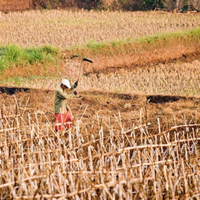 U.S. Farmers on Southern Plains Brace for Multiyear Drought