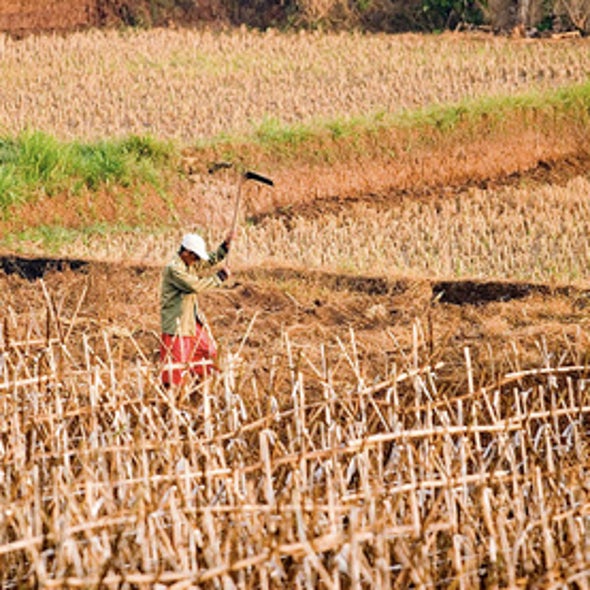 U.S. Farmers on Southern Plains Brace for Multiyear Drought
