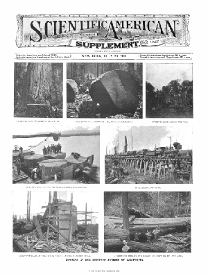 July 20, 1901