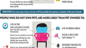 What Your Pet Reveals about You