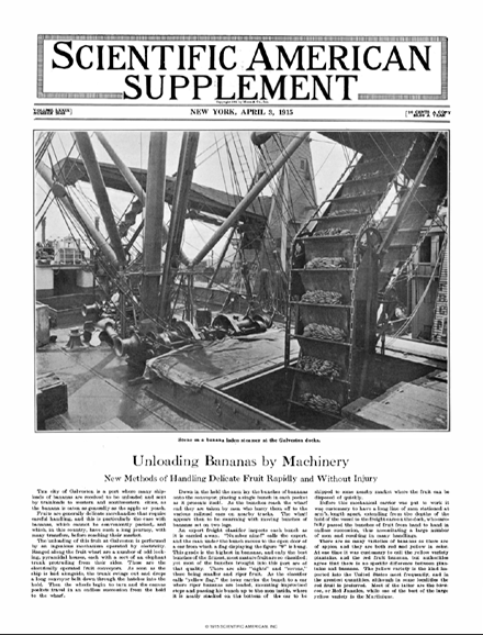 SA Supplements Vol 79 Issue 2048supp