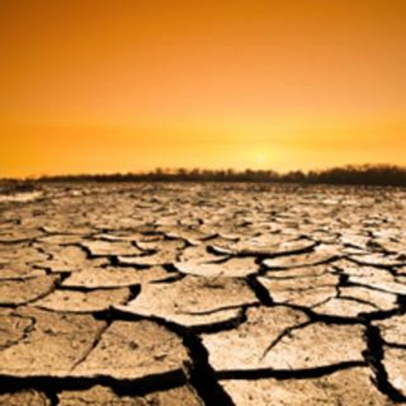 Farmed Out: How Will Climate Change Impact World Food Supplies?