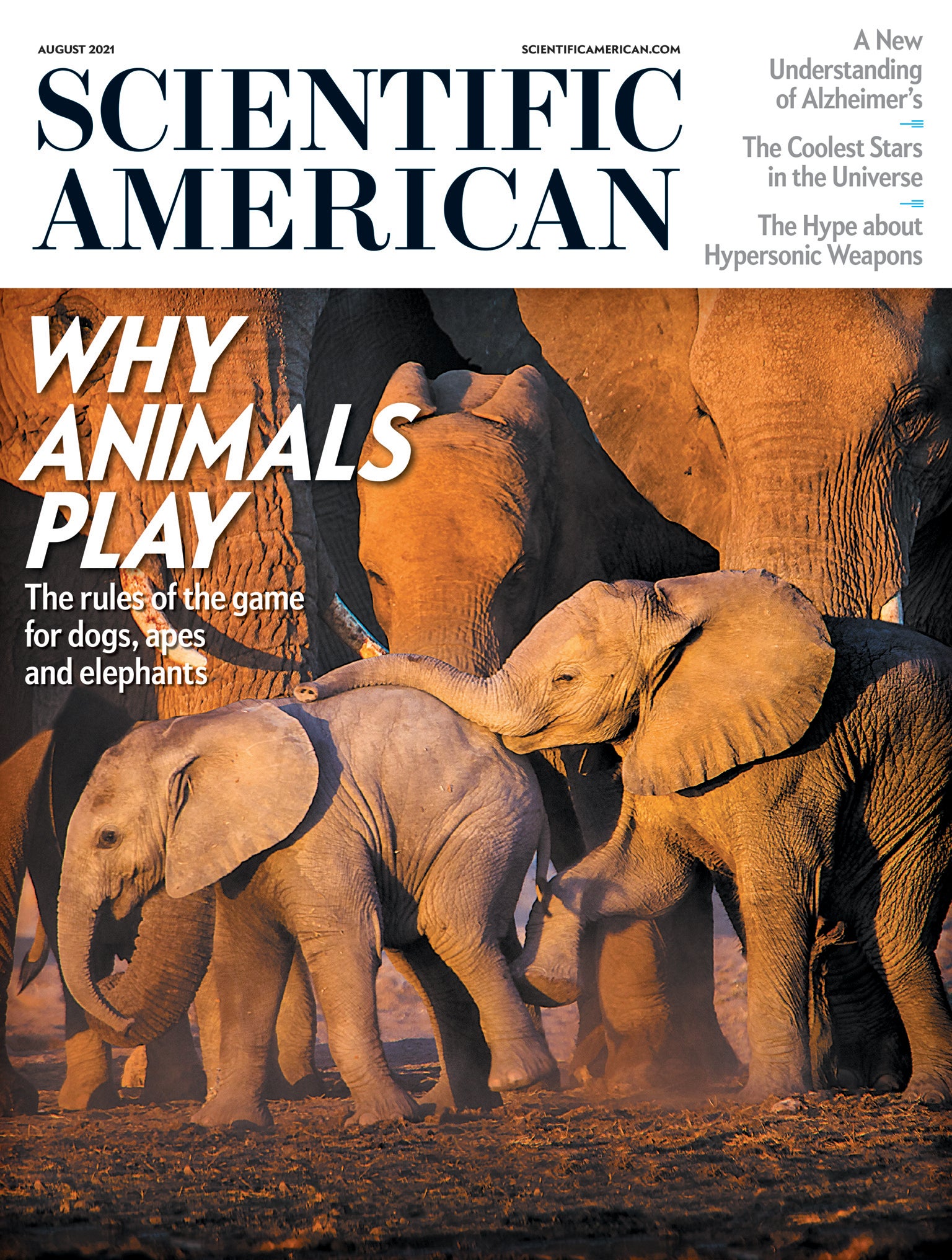  Scientific American Magazine