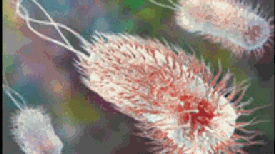 The Once and Future Nanomachine