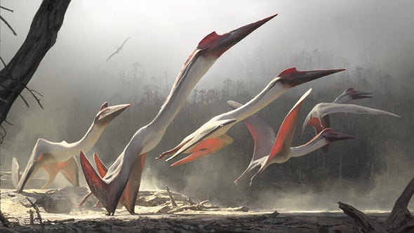 Pterosaurs Were Monsters of the Mesozoic Skies
