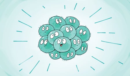 Comic-style group of cells with big eyes and smiles, packed together into a spherical shape.