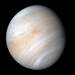 Is There Really Life on Venus? There's Only One Way to Know for Sure