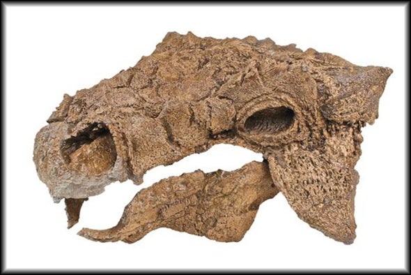 New Dinosaur Resembles Ghostbusters Monster Zuul - Scientific American