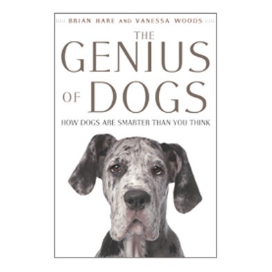 What Are Dogs Saying When They Bark Excerpt