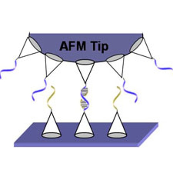 Seeing the Little Picture: Novel Nanocoating Gives Atomic Force Microscope Users a Better Look at Individual Molecules