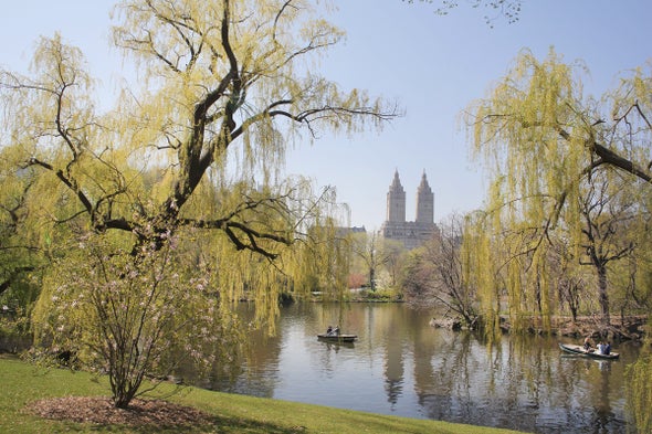 New York's Central Park Becomes a Living Climate Laboratory