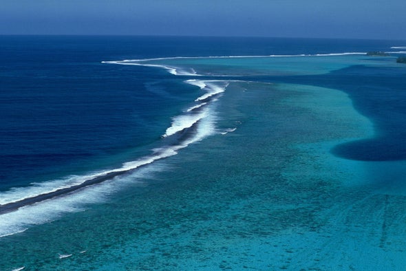 U.S. Coral Reefs Do $1.8 Billion of Work Per Year