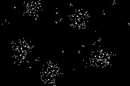 White dots organized in patterns shown against a black background.