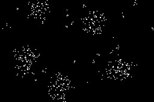 White dots organized in patterns shown against a black background.