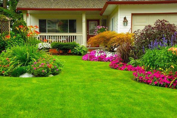 Trees Beat Lawns for Water-Hungry L.A.