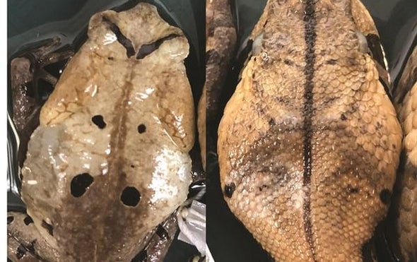 Science News Briefs from All Over