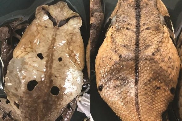 Science News Briefs from All Over