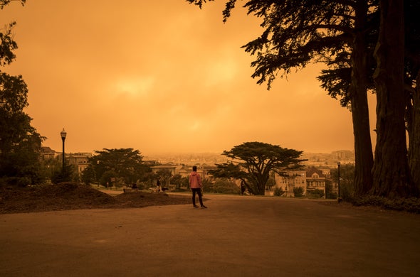 What's in Wildfire Smoke, and Why Is It So Bad for Your Lungs?