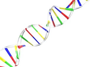 CRISPR-Edited Cells Linked to Cancer Risk in 2 Studies