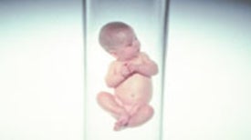 Pandora's Baby