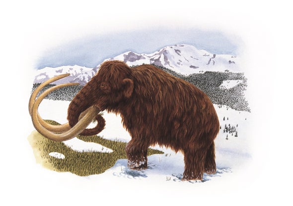 Last Woollies Had Mammoth Mutations