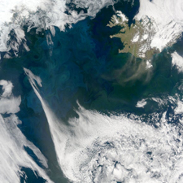 What Causes the North Atlantic Plankton Bloom?