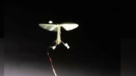 RoboBee Learns to Perch to Save Energy
