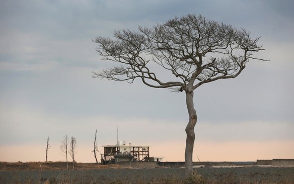 Clearing the Radioactive Rubble Heap That Was Fukushima Daiichi, 7 Years On