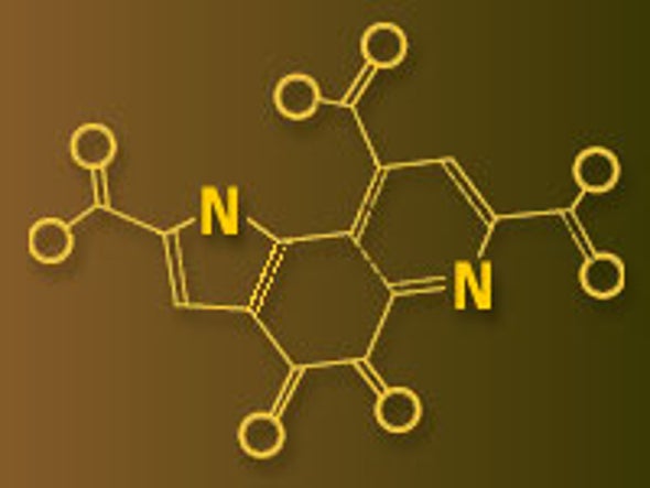 Scientists Add New Member to Vitamin B Family