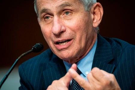 Anthony Fauci speaking during Senate hearing