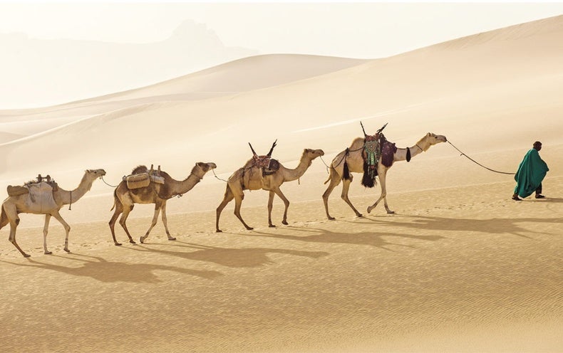 How the Sahara Was Born