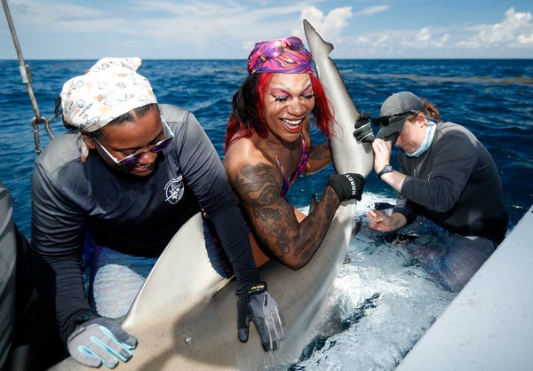 3 people tagging a shark