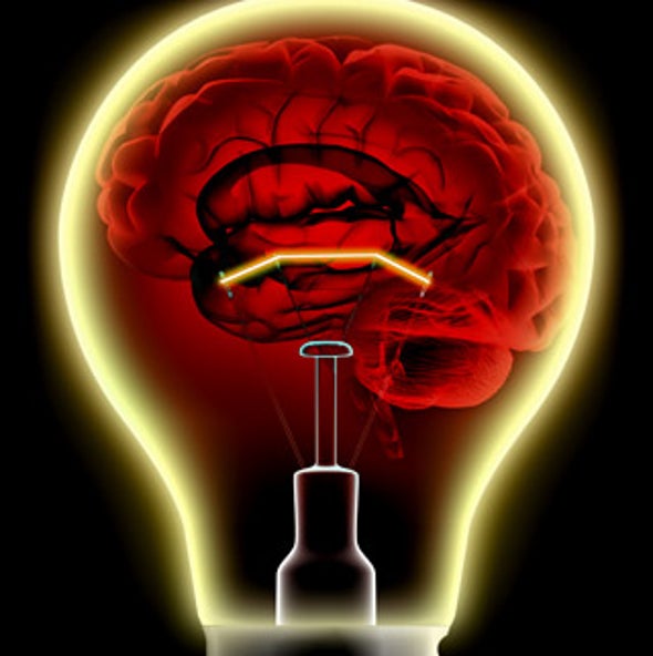 the Brain Need So Power? - Scientific American