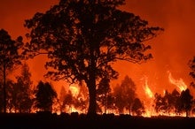 Australian Bush Fires Belched Out Immense Quantity of Carbon
