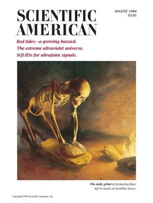 Scientific American Magazine Vol 271 Issue 2